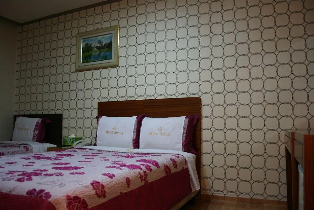 Amiga Inn Seoul Hotel